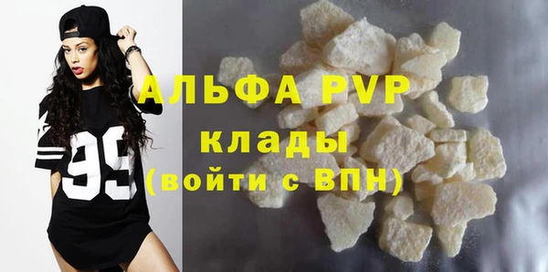 гидра Бородино