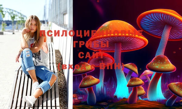 PSILOCYBIN Верхний Тагил