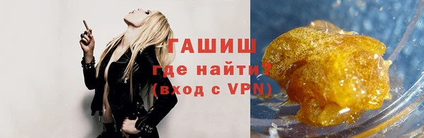 гидра Бородино