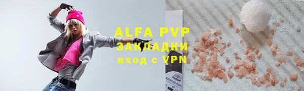 гидра Бородино
